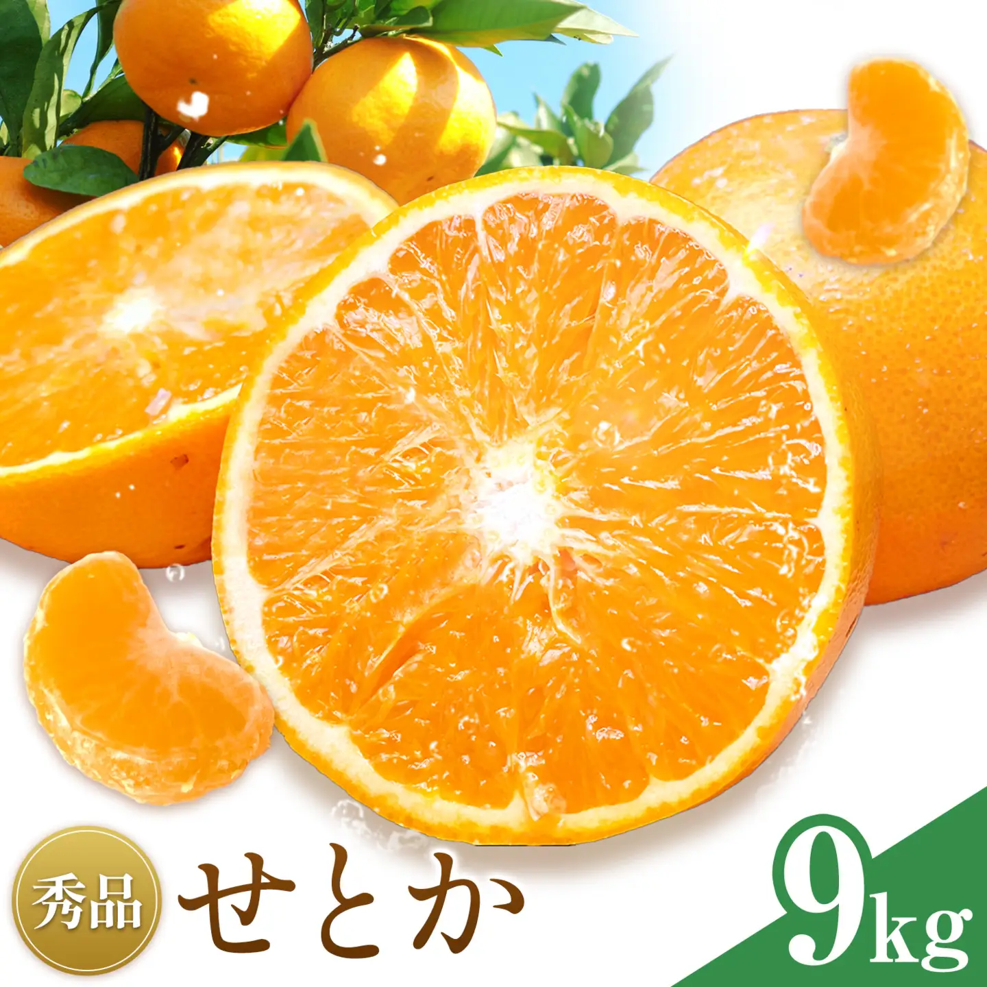 せとか 秀品 9kg