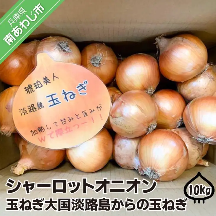 淡路島極熟玉葱　シャーロットオニオン【10kg】　玉ねぎ大国淡路島からの玉ねぎ