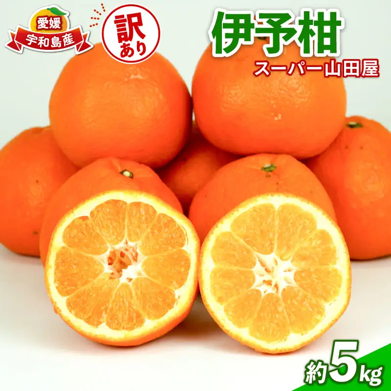 みかん 訳あり 伊予柑 いよかん 約5kg スーパー山田屋 先行予約 果物 くだもの フルーツ 柑橘 mikan 蜜柑 愛媛蜜柑 愛媛みかん わけあり サイズ 不揃い 産地直送 数量限定 国産 愛媛 宇和島 B010-198005