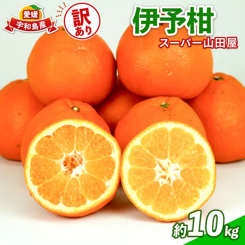 みかん 訳あり 伊予柑 いよかん 約 10kg スーパー山田屋 先行予約 果物 くだもの フルーツ 柑橘 mikan 蜜柑 愛媛蜜柑 愛媛みかん わけあり サイズ 不揃い 産地直送 数量限定 国産 愛媛 宇和島 B016-198006