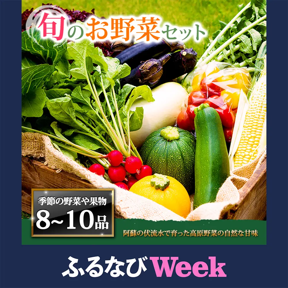 【ふるなびWEEK対象】＜畑から直送＞季節のお野菜セット Lサイズ（8～10品）