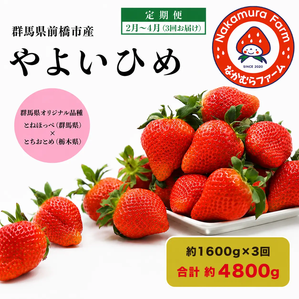 いちご【定期便／３ヵ月連続お届け】『やよいひめ』 約1,600g×3回