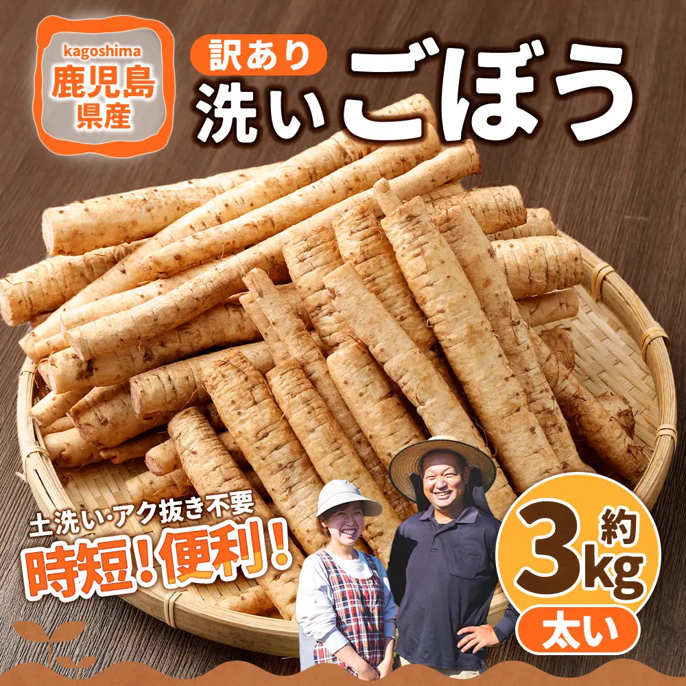 鹿児島県産 洗い【太い】 ごぼう 約3kg 【規格外・訳あり品】【2026年12月上旬-3月下旬発送予定】 ZS-9100