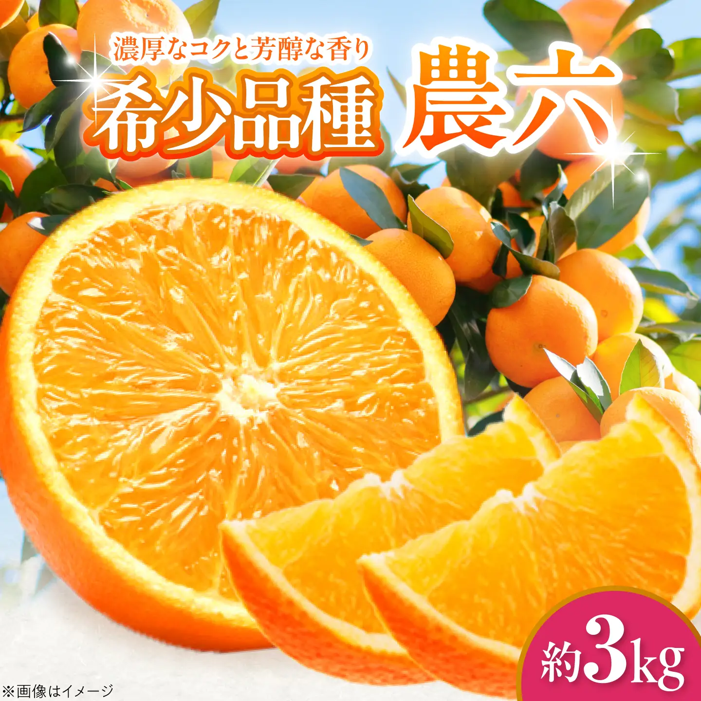 みかん 農六 約3kg【2月上旬から3月下旬まで順次発送】 / フルーツ 果物 蜜柑 ミカン オレンジ 小玉 甘い 先行予約 3kg 愛媛 / 愛媛県砥部町/和氣隆司[BJBF003]