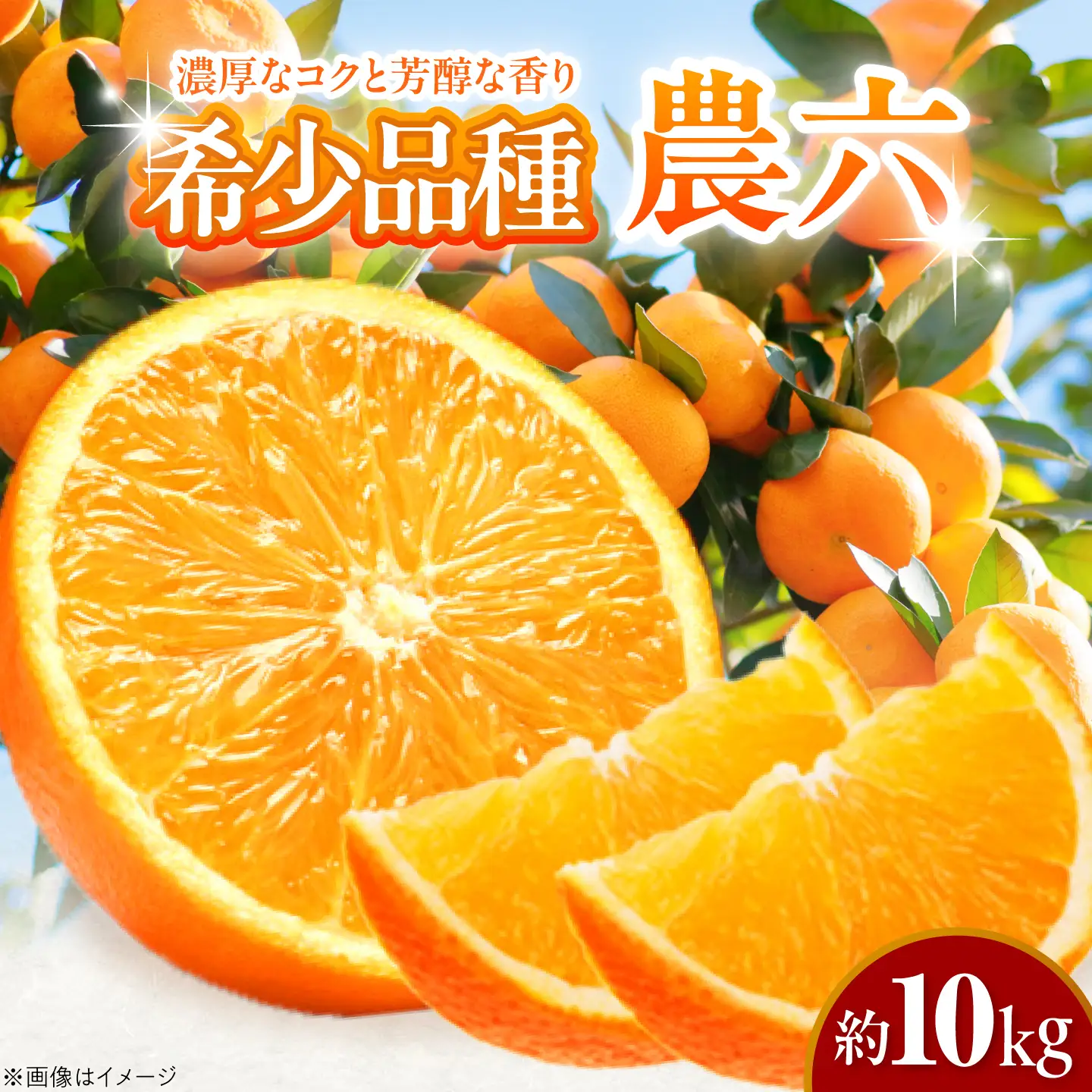 みかん 農六 約10kg【2月上旬から3月下旬まで順次発送】 / フルーツ 果物 蜜柑 ミカン オレンジ 小玉 甘い 先行予約 10kg 愛媛 / 愛媛県砥部町/和氣隆司[BJBF004]