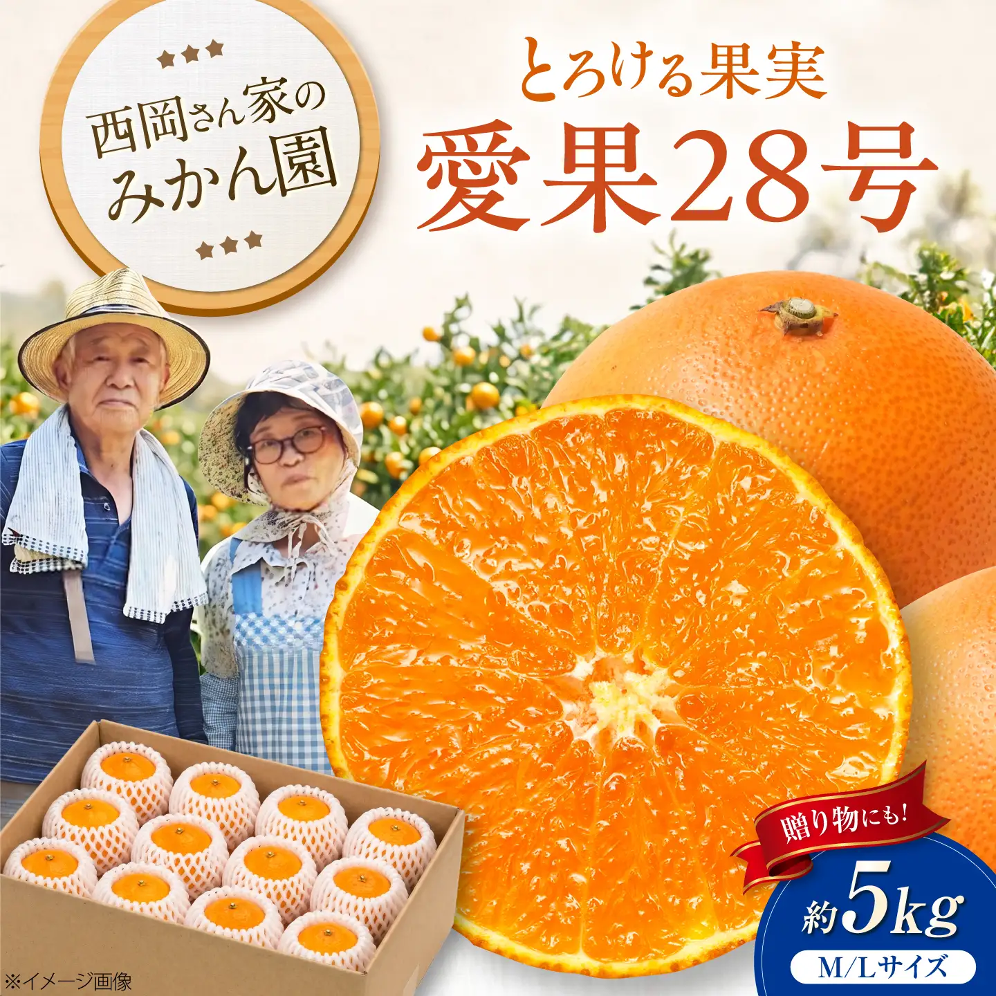 みかん 愛果28号 約5kg M-Lサイズ【12月上旬から2月下旬まで順次発送】 / フルーツ 果物 蜜柑 ミカン オレンジ 甘い 先行予約 約5kg 愛媛 / 愛媛県砥部町/西岡さん家のみかん園[BJBG005]