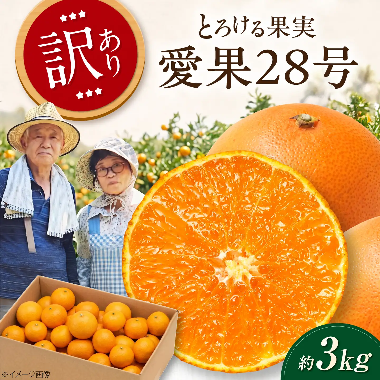 みかん 訳あり 愛果28号 約3kg【12月上旬から2月下旬まで順次発送】 / フルーツ 果物 蜜柑 ミカン オレンジ 訳あり 訳アリ 小玉 甘い 先行予約 約3kg 愛媛 / 愛媛県砥部町/西岡さん家のみかん園[BJBG007]