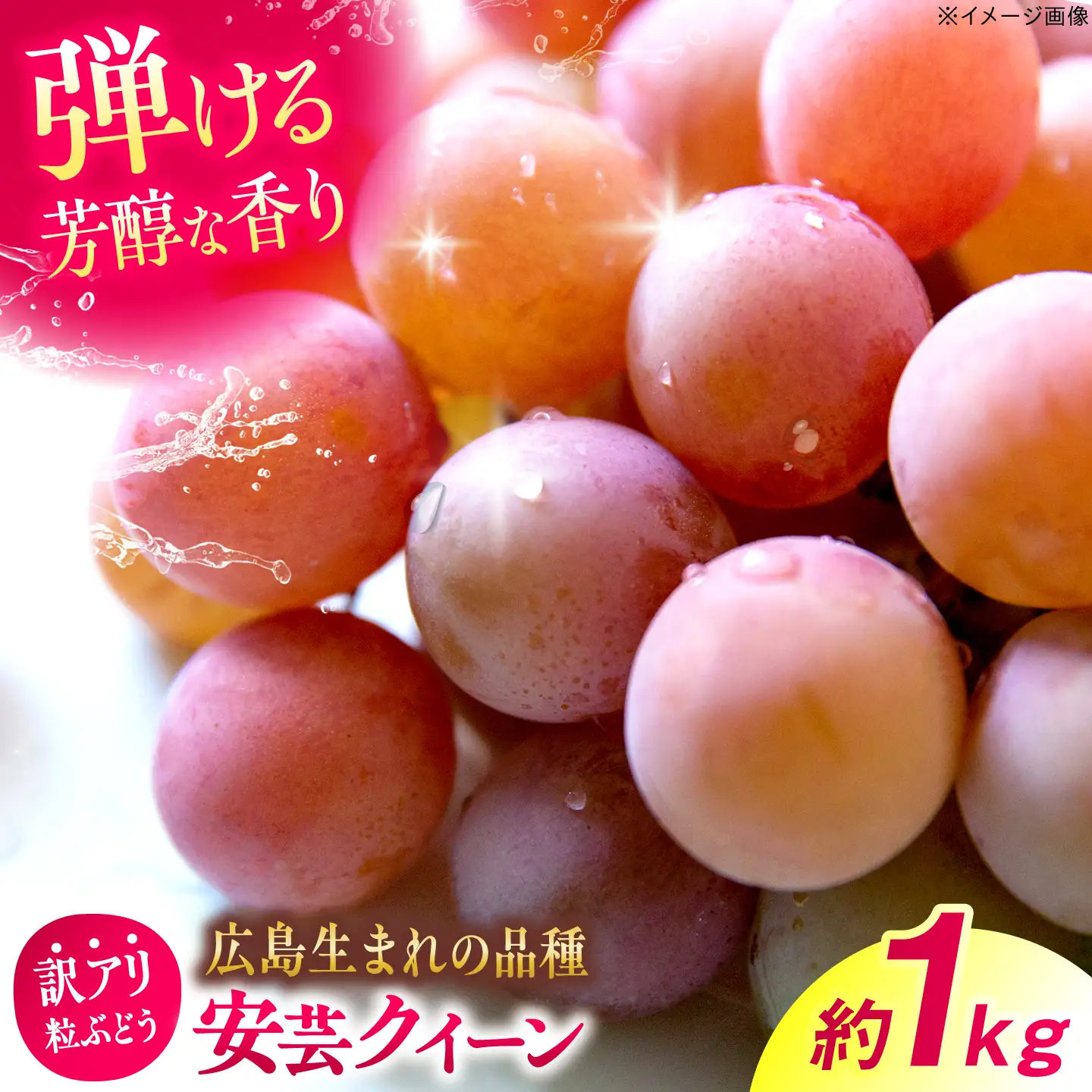 訳あり安芸クイーン 約1kg（500g×2パック）ぶどう 葡萄[APCM017/]