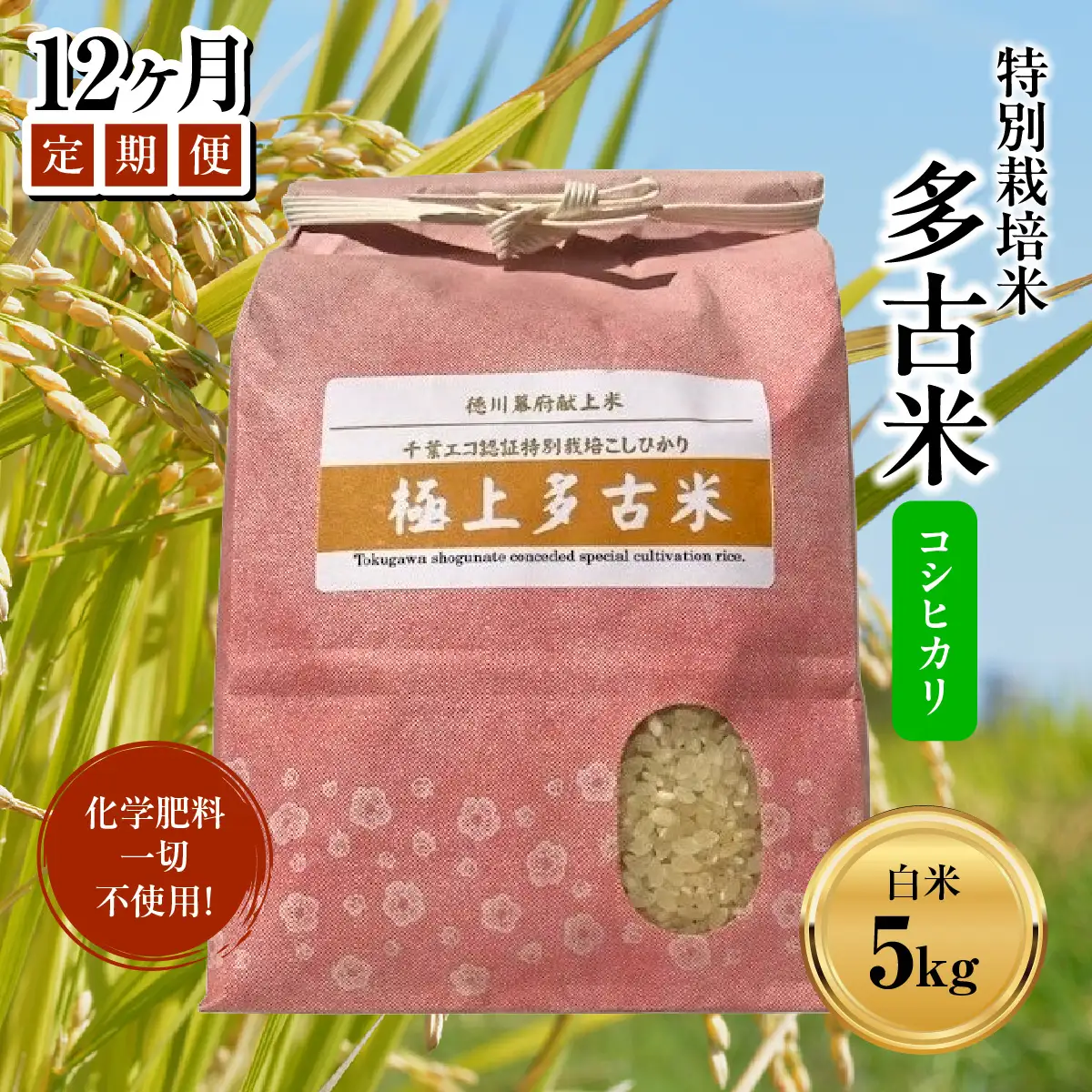 【定期便】化学肥料一切不使用！特別栽培米多古米「コシヒカリ」白米5kgx12回   TAKJ006 ／ふるさと納税 多古米 コシヒカリ 白米 玄米 5㎏ 化学肥料不使用 定期便  千葉県産 多古町 送料無料