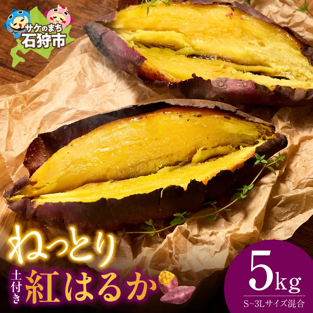【先行予約】石狩産 土付サツマイモ 紅はるか（S～3Lサイズ混在） 5kg【10月発送】｜野菜 さつまいも 北海道 石狩市