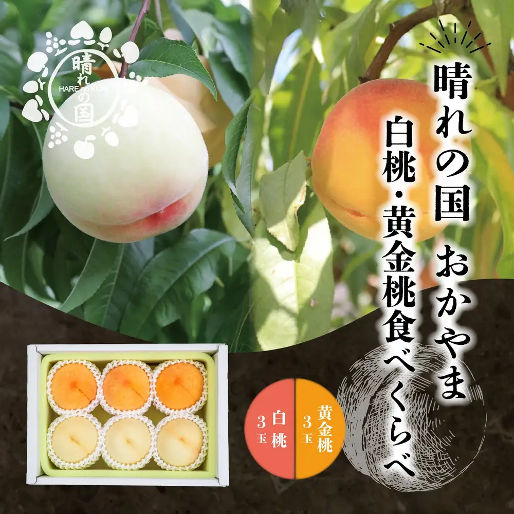 晴れの国　おかやまの白桃＆黄金桃食べ比べ６玉　＜先行受付：2026年8月下旬～発送＞