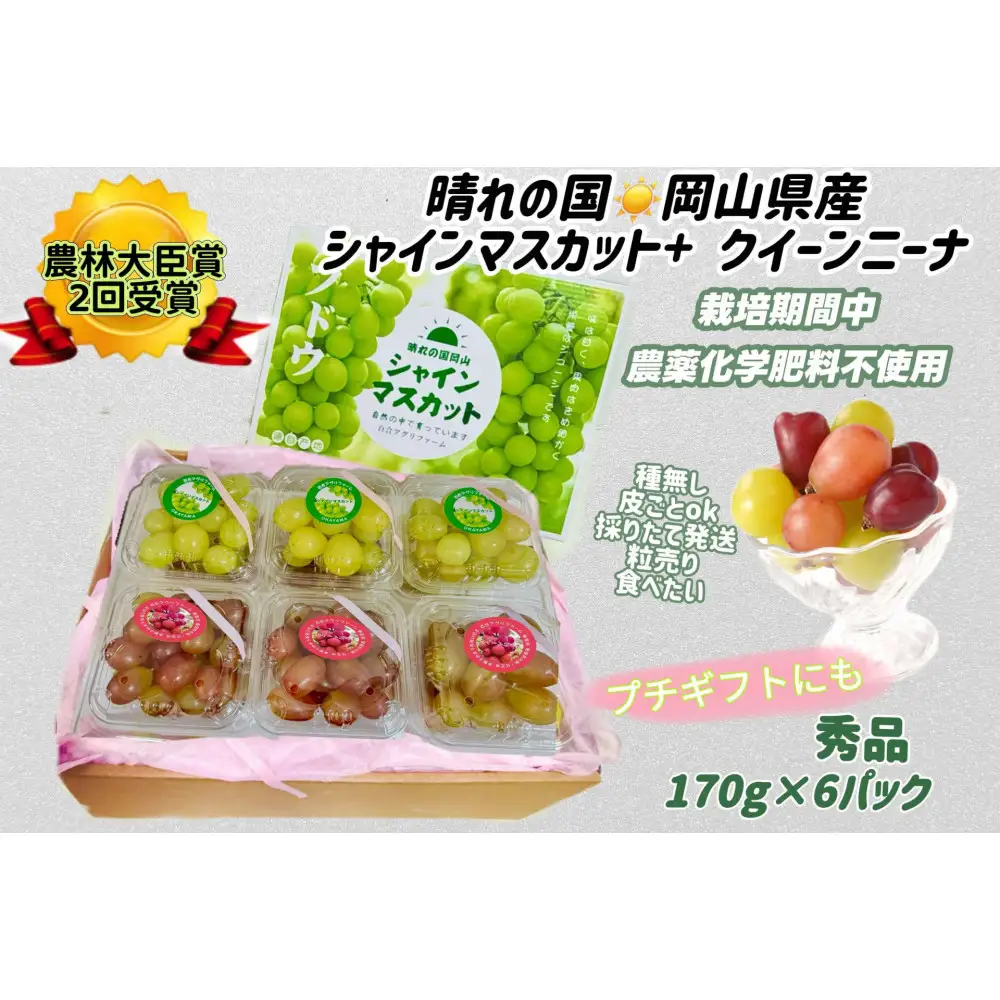 ぶどう2026年  シャインマスカット+クインニーナ 小分け 秀品 粒だけ 約170g6パック 岡山 果物 フルーツ8月上旬から発送