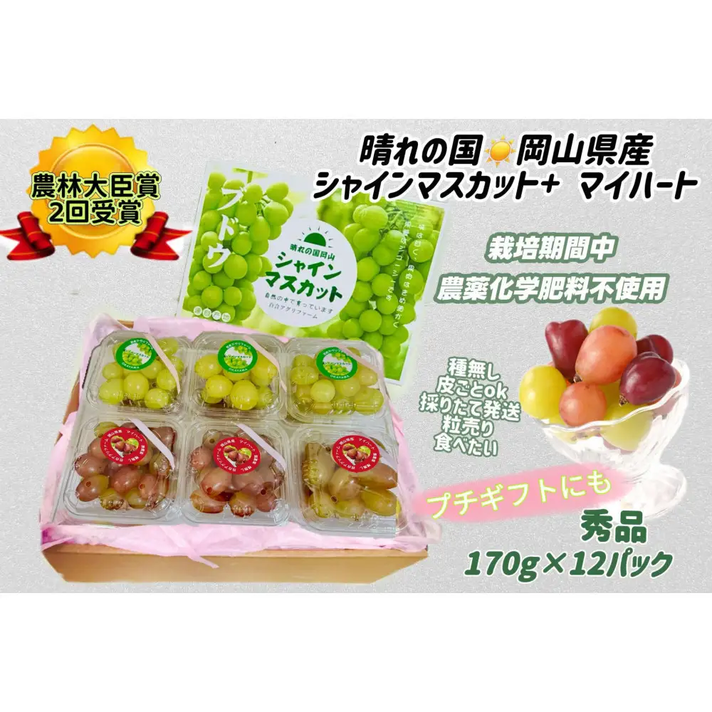 ぶどう 2026年  シャインマスカット＆マイハート 小分け 秀品 粒だけ 約170g 12パック 岡山 果物 フルーツ 8月中旬から発送