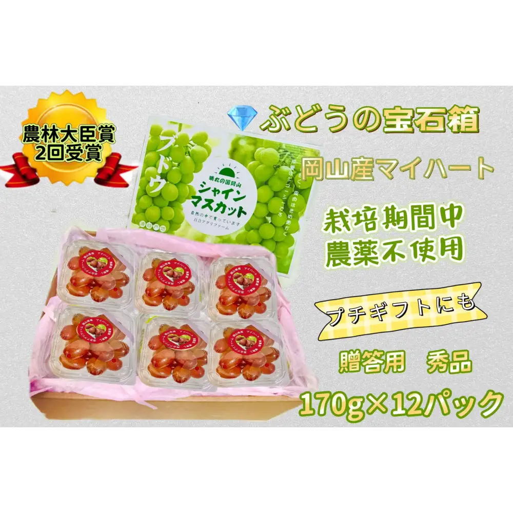【8月中旬から発送】ぶどう 2026年  マイハート 小分け 秀品 粒だけ 約170g 12パック 岡山 果物 フルーツ