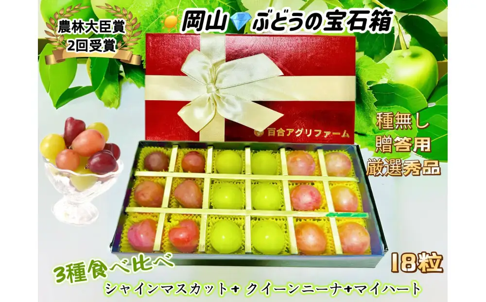 【8月中旬から発送】 2026年 岡山産ぶどう3種 食べ比べ 宝石箱 クイーンニーナ シャインマスカット マイハート 粒だけ18粒 長方形化粧箱 農林大臣賞2回受賞  岡山 果物 フルーツ  数量限定 【箱カラー：レッド】