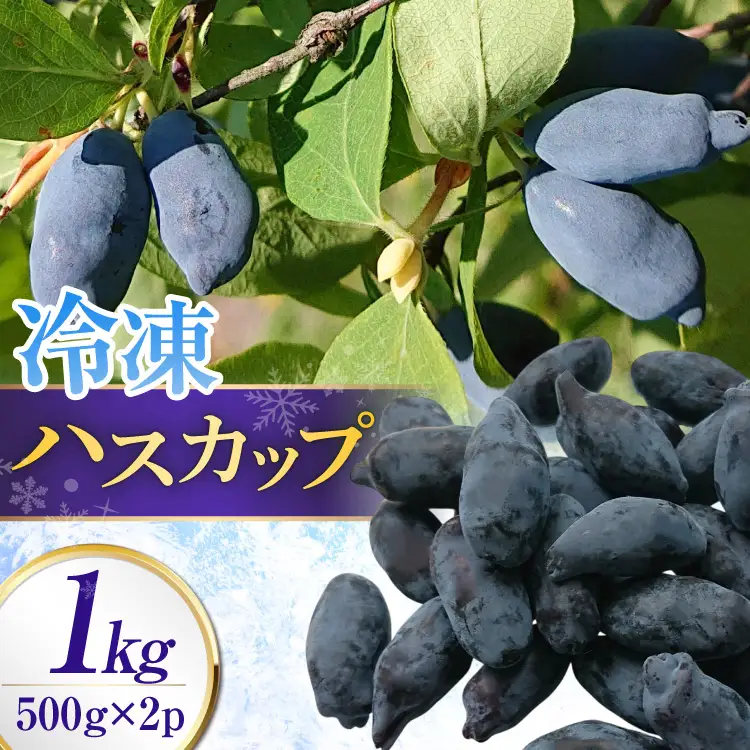 ハスカップ 冷凍 500g × 2 計 1kg
