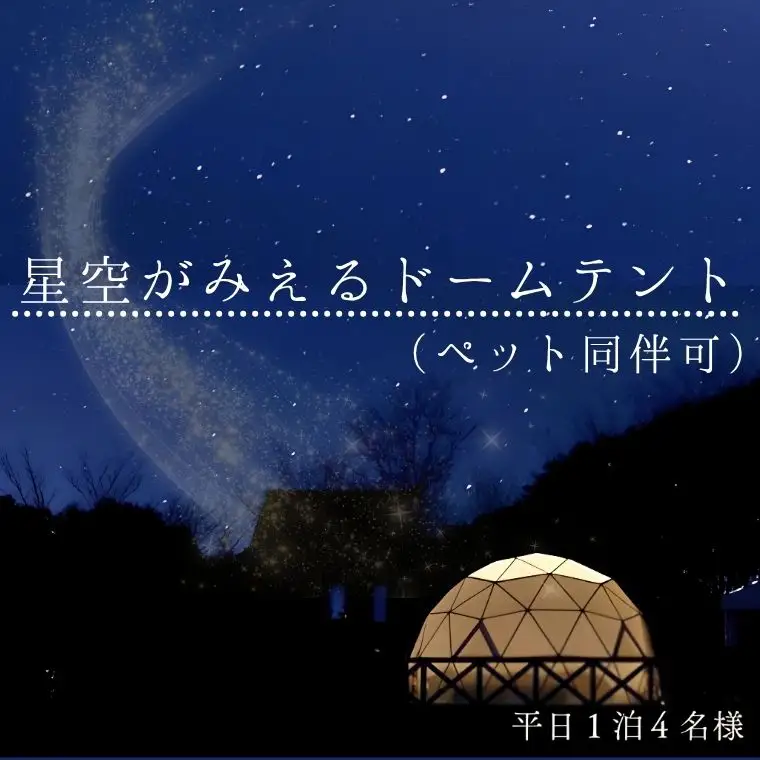 まつたけ小屋 アウトドア広場「梅松苑」ドームテント 平日御宿泊券 4名様まで (ペット同伴可) ［BE11］// 長野県 南信州 ドームテント グランピング アウトドア キャンプ 星空