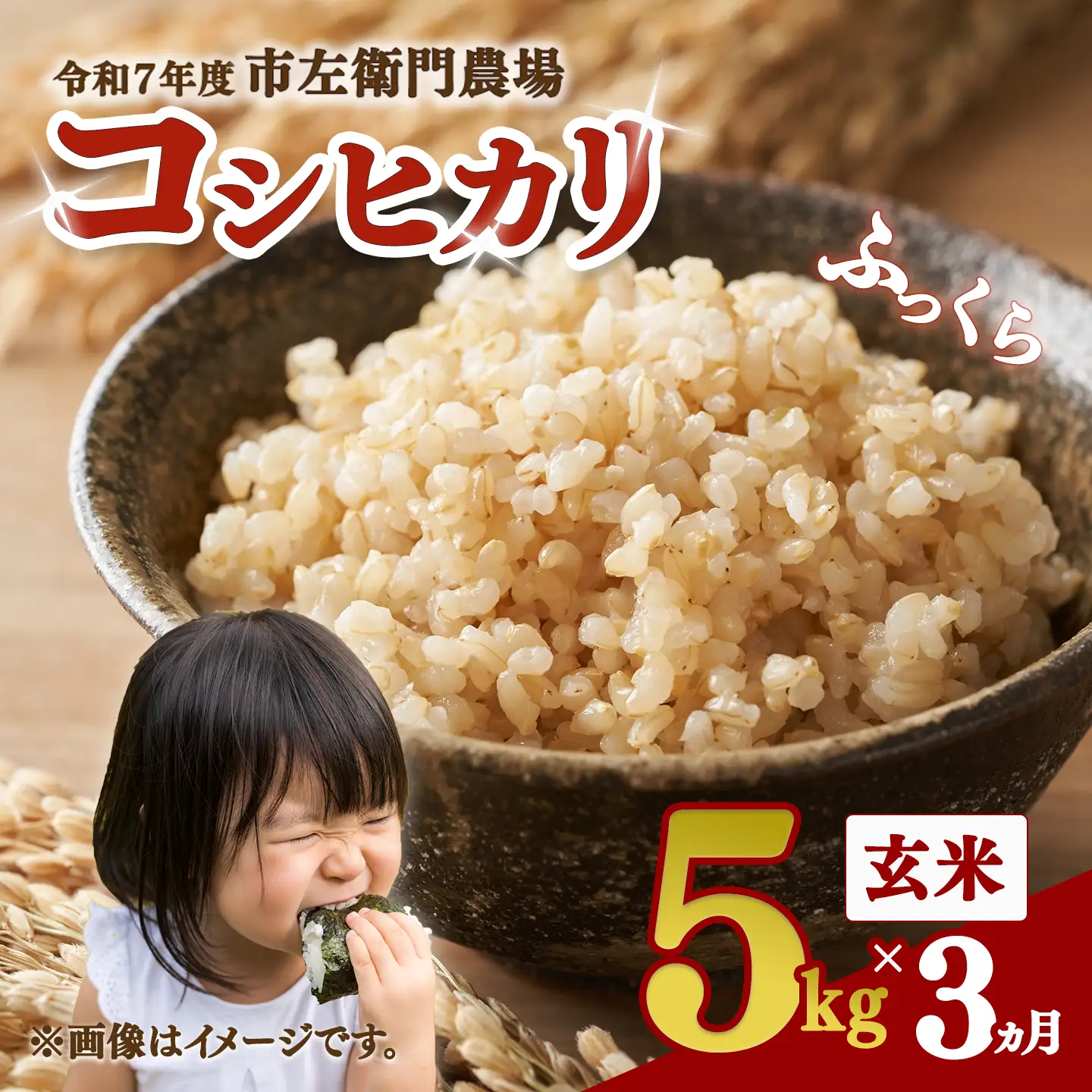 【定期便】令和7年産 コシヒカリ玄米 5kg×3回 こしひかり