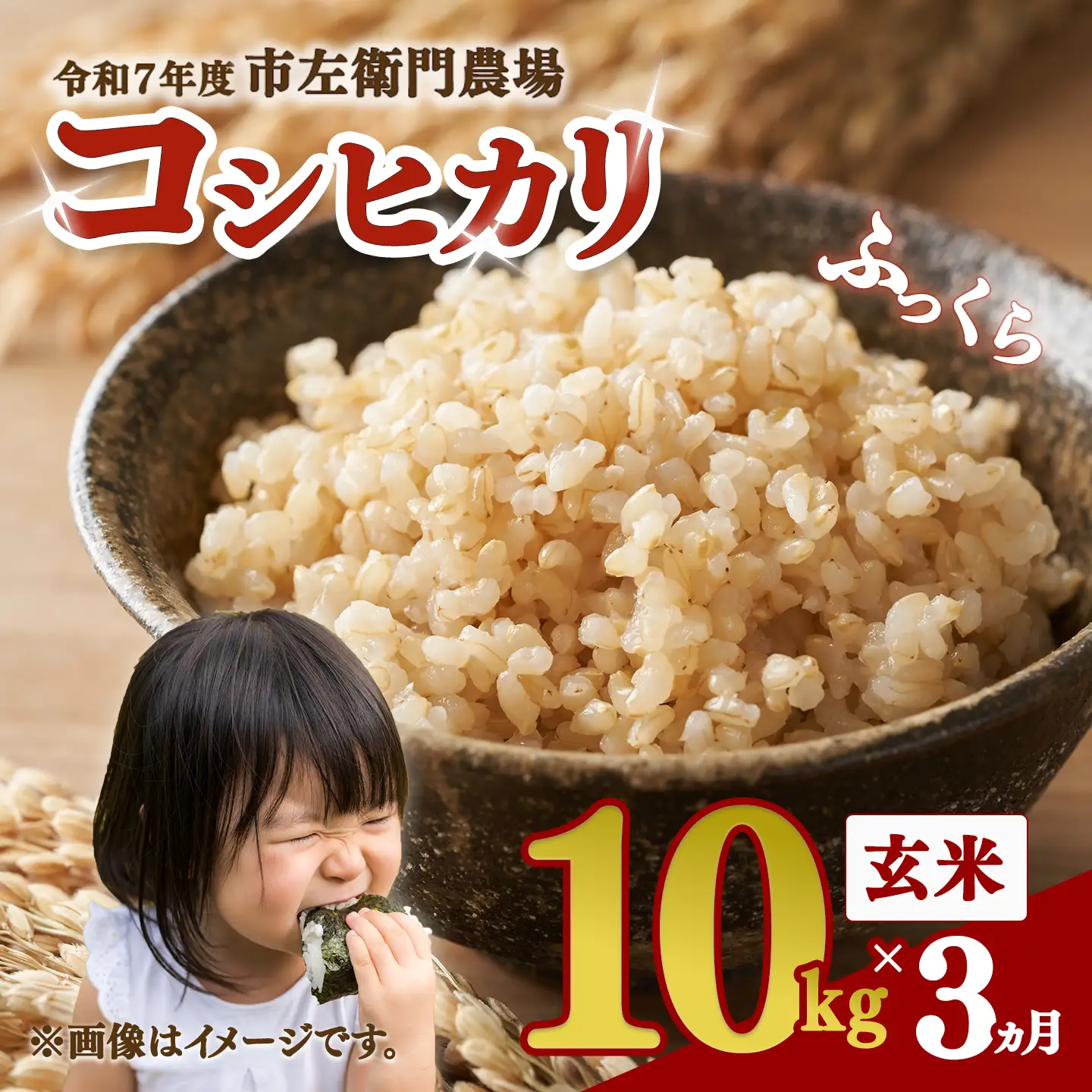 【定期便】令和7年産 コシヒカリ玄米 10kg×3回 こしひかり