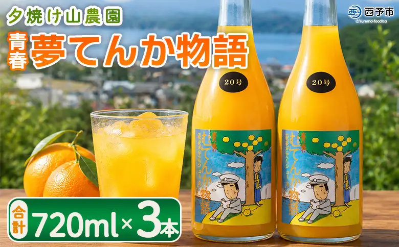 ＜青春 夢てんか物語 合計3本＞『1か月以内に順次出荷予定』 ジュース みかんジュース 温州みかん うんしゅうみかん 柑橘 果物 みかん 蜜柑 ミカン 詰め合わせ 詰合せ 夕焼け山農園 特産品 愛媛県 西予市【常温】AYN0003