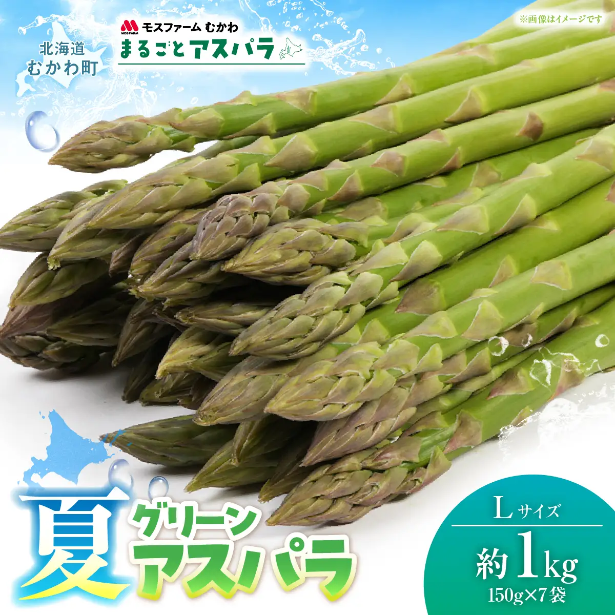 夏アスパラLサイズ 約1kg（150g×7袋入） MKWM005 