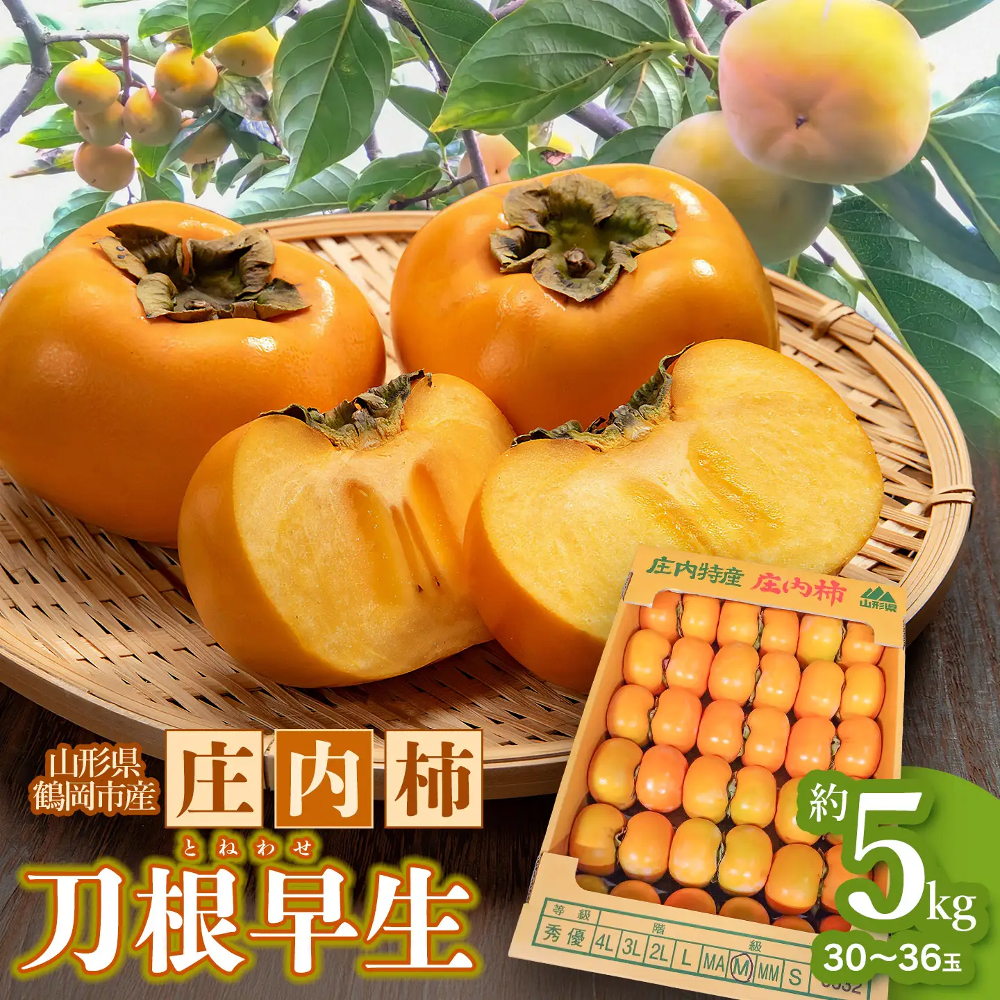 【令和8年産先行予約】　庄内柿　刀根早生　5kg（30～36玉）　山形県鶴岡市　わたなべフルーツファクトリー　| 柿 カキ 刀根早生柿 とねわせがき 種無し柿 旬 期間限定 産地直送 果物 フルーツ 甘い おいしい おすすめ お取り寄せ 返礼品