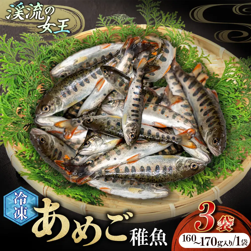 【無投薬 内臓処理済み】【希少稚魚】あめご（稚魚） 50匹前後（約500g） ／Eay-08 アメゴ 川魚