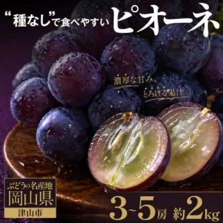 星乃ピオーネ 3房～5房(2kg以上)【配送不可地域：離島・北海道・沖縄県】【1740015】