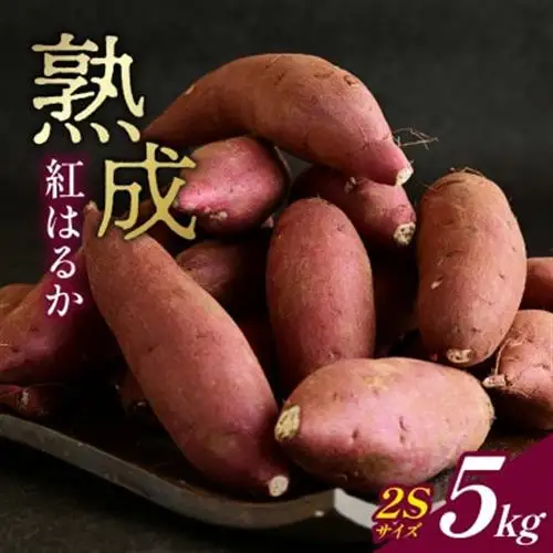 産地直送!生さつまいも「熟成紅はるか」調理しやすい小さめサイズ5kg【1748778】