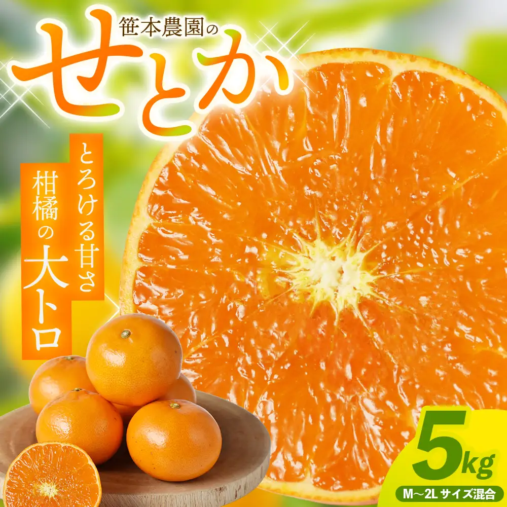 せとか 笹本農園のせとか 約5kg M～2Lサイズ混合 みかん【ssmt0002】
