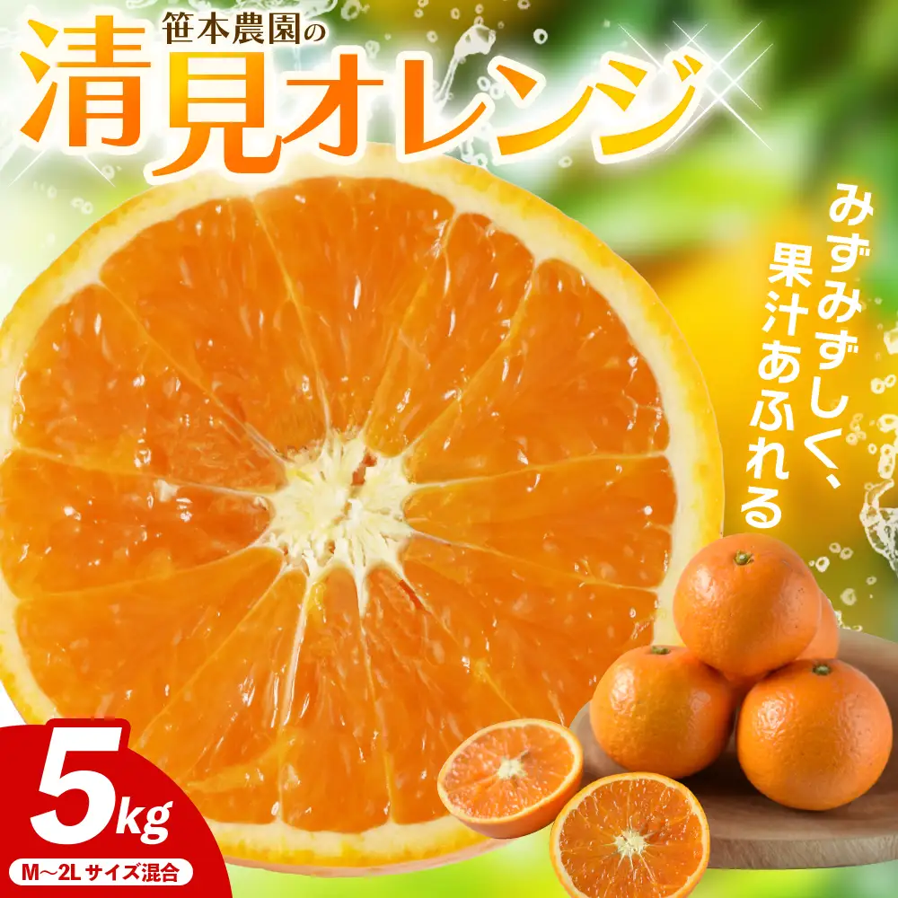 みかん 笹本農園の清見オレンジ 約5kg M～2Lサイズ混合 みかん【ssmt0003】