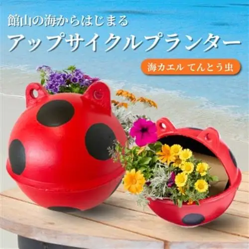 アップサイクルプランター　海カエルてんとう虫(1個)【1681045】