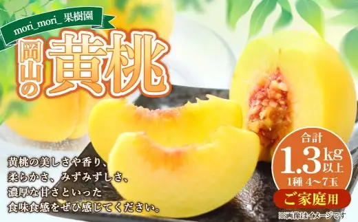 【 ご家庭用 】 岡山の黄桃 約1.3kg以上 もも 桃 モモ 黄桃 くだもの 果物 フルーツ 果実 果汁 果肉 岡山県産 旬 【 2026年8月上旬～9月上旬迄順次発送予定 】