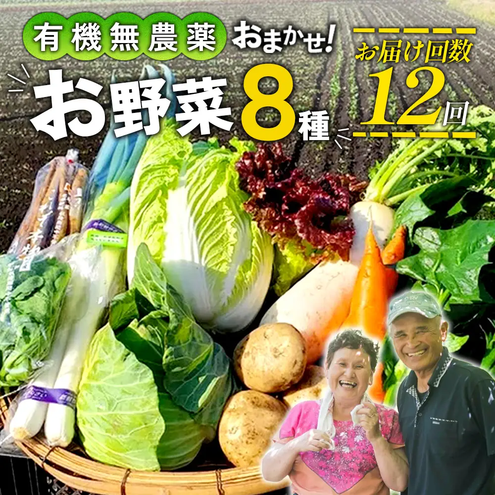 【12回定期便】特別栽培季節のお野菜セット 8品 野菜 無農薬 有機栽培 新鮮 やさい 旬 詰合せ 国産 宮崎県 九州 送料無料