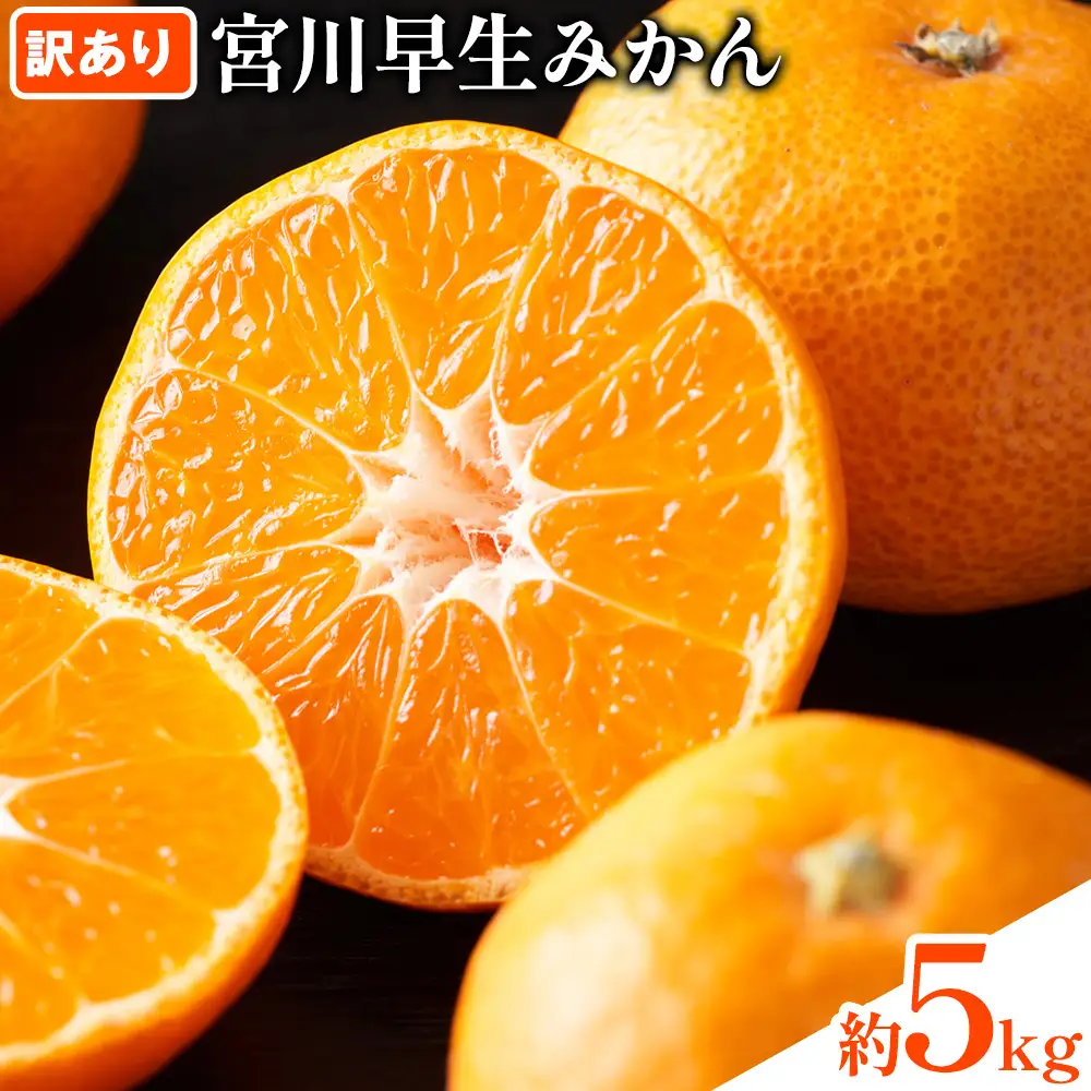 宮川早生みかん訳あり 約5kg (サイズいろいろ) うえやまファーム