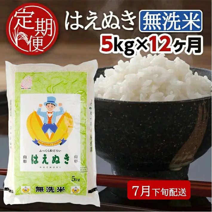 SP0018　7月下旬発送開始／【12回定期便】無洗米 はえぬき　5kg×12回(計60kg) TO