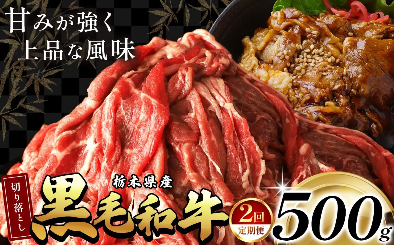 【定期2回】 栃木県産黒毛和牛切り落とし 500g | 霜降り 和牛 切り落とし とろける 品質 柔らかく 銘柄牛 美味しい おいしい 特産品 ふるさと 納税 栃木県 那珂川町 送料無料