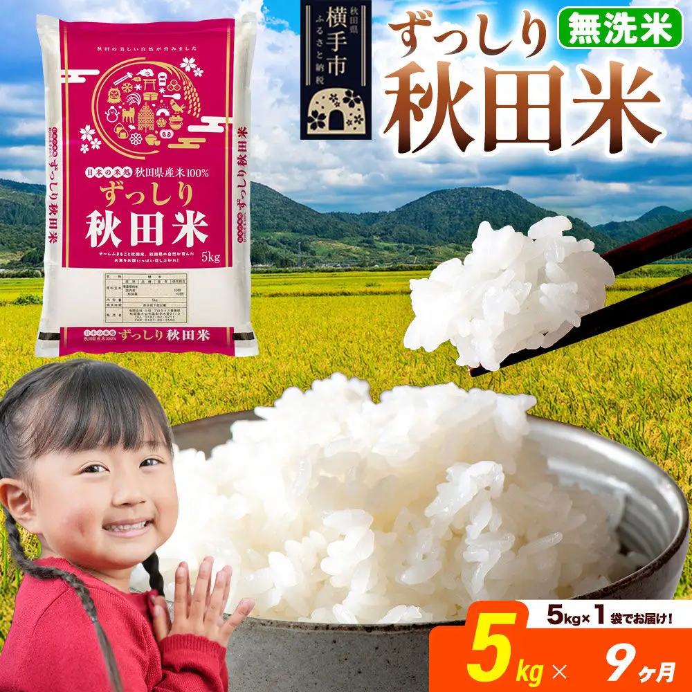米《定期便9ヶ月》秋田県 横手市産 ブレンド米 令和7年産【無洗米】5kg（5kg×1袋）