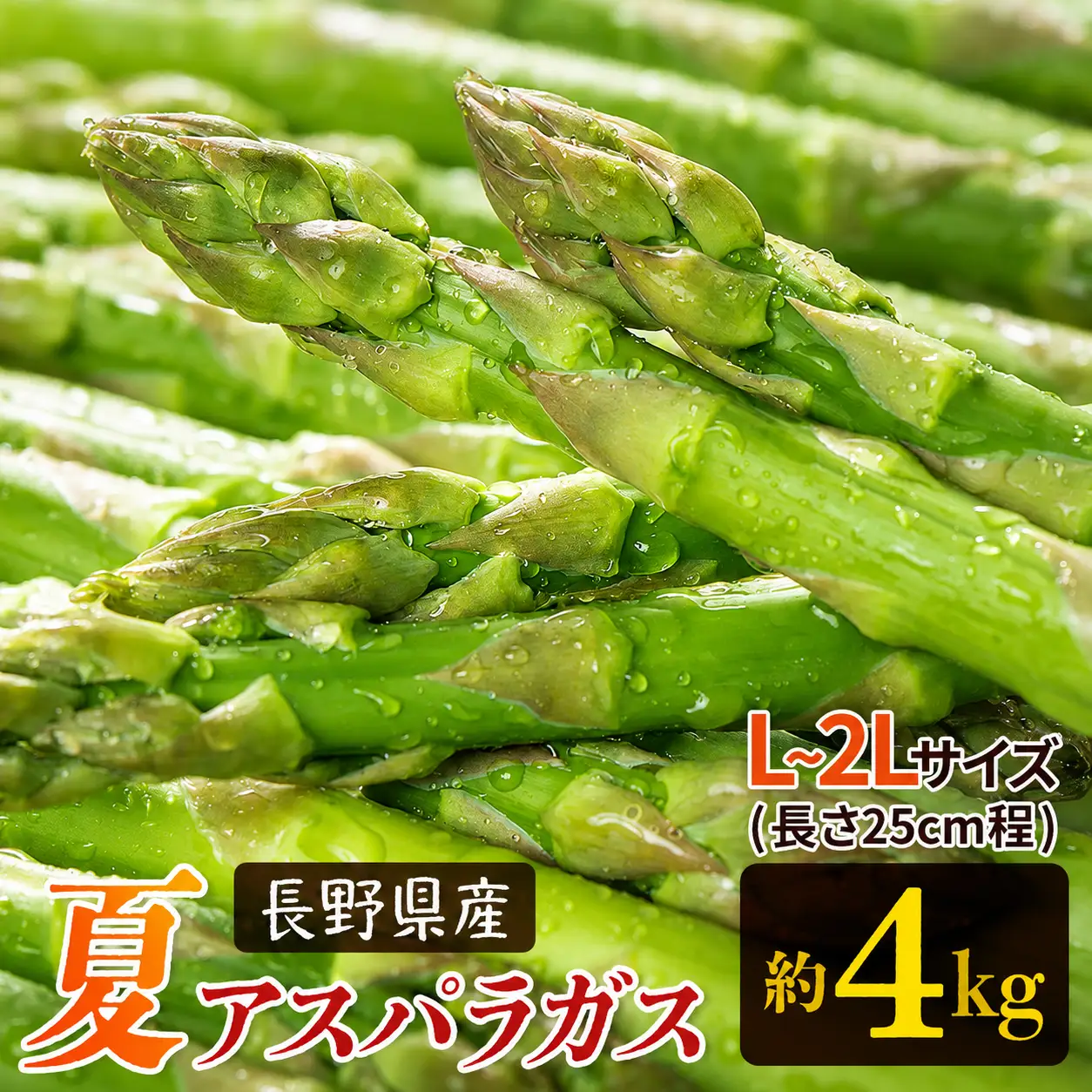 【先行予約】夏 アスパラガス 約4kg 農家直送 ハウス栽培（路地栽培あり）| 野菜 やさい ヤサイ 根物 ねもの ネモノ アスパラ あすぱら アスパラガス あすぱらがす 夏 旬 出荷 長野県 木島平村 ハウス栽培 路地栽培 農家 直送