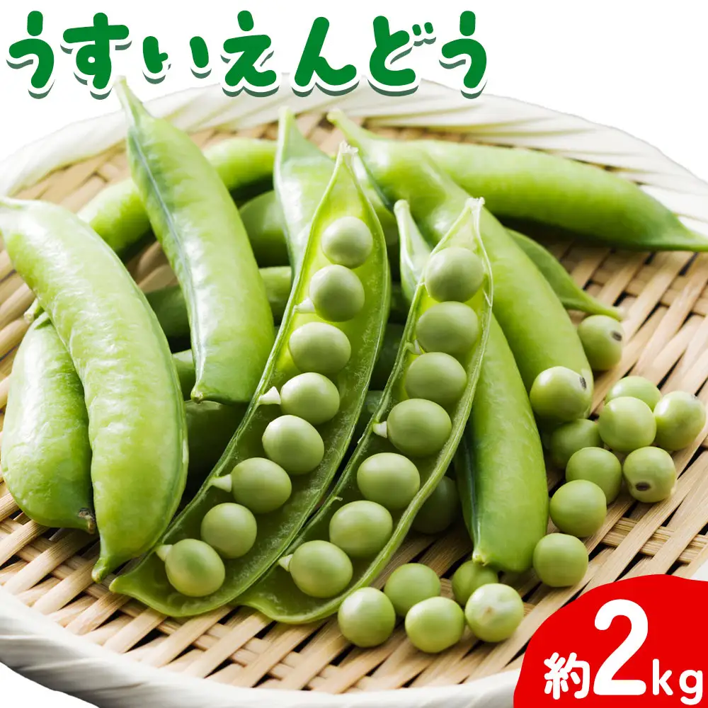 うすいえんどう 約2kg うえやまファーム《2027年4月上旬-5月下旬頃出荷》