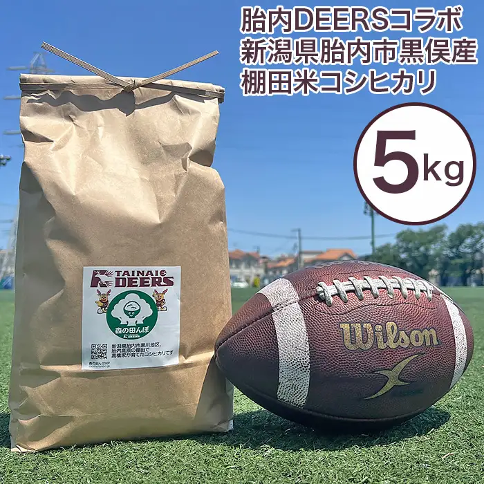 ディアーズ米 5kg 棚田米 コシヒカリ 新潟県胎内市産