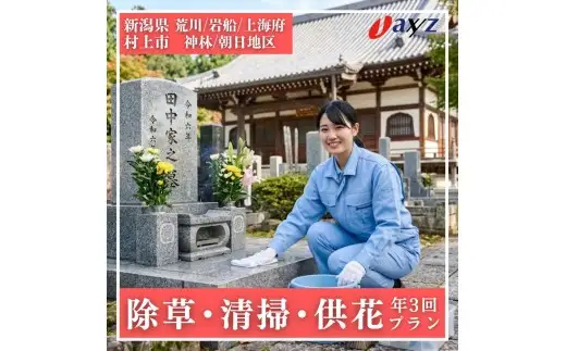【年3回】お墓掃除代行サービス（清掃・除草・供花プラン）【対象地区：荒川・岩船・上海府・神林・朝日地区】1106011　新潟県 村上市 （株）日本アクシィーズ お墓 掃除 草刈り  お墓参り