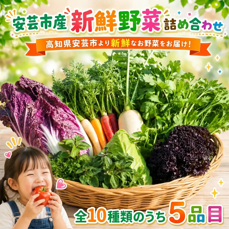 安芸野菜（全10種5品目前後）【野菜】CA002