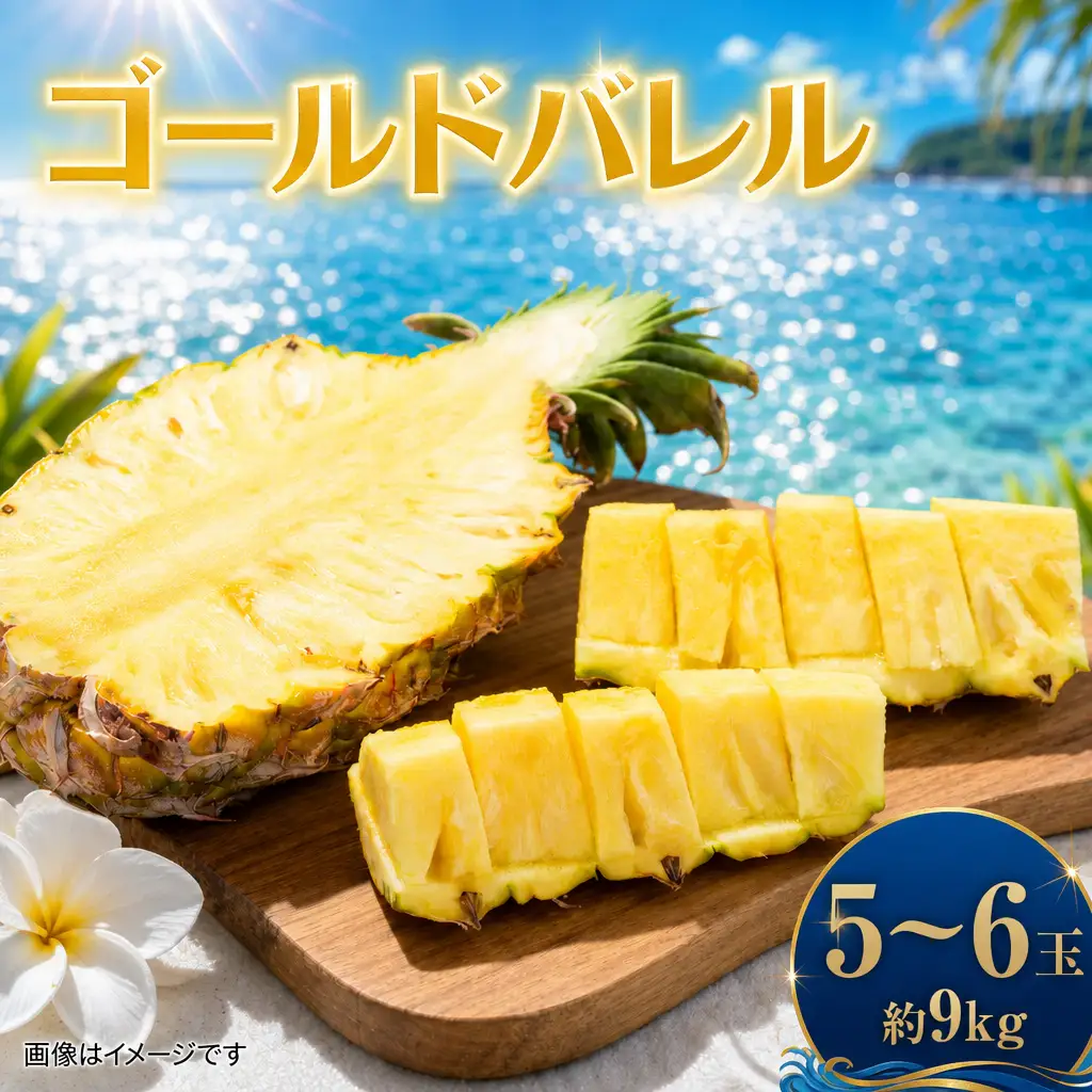 パイナップル ゴールドバレル 5～6玉 約9kg あいこ農園 