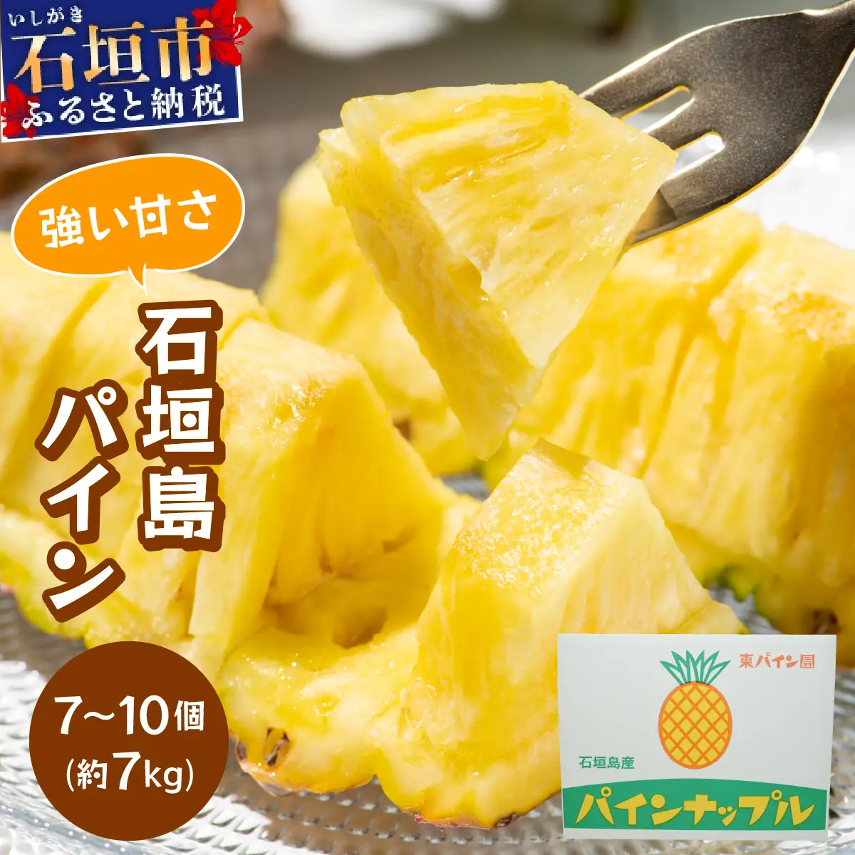 石垣島パイン(ハワイ種またはピーチパイン) 7~10個(約7kg) 【2026年6月中旬頃より順次発送】