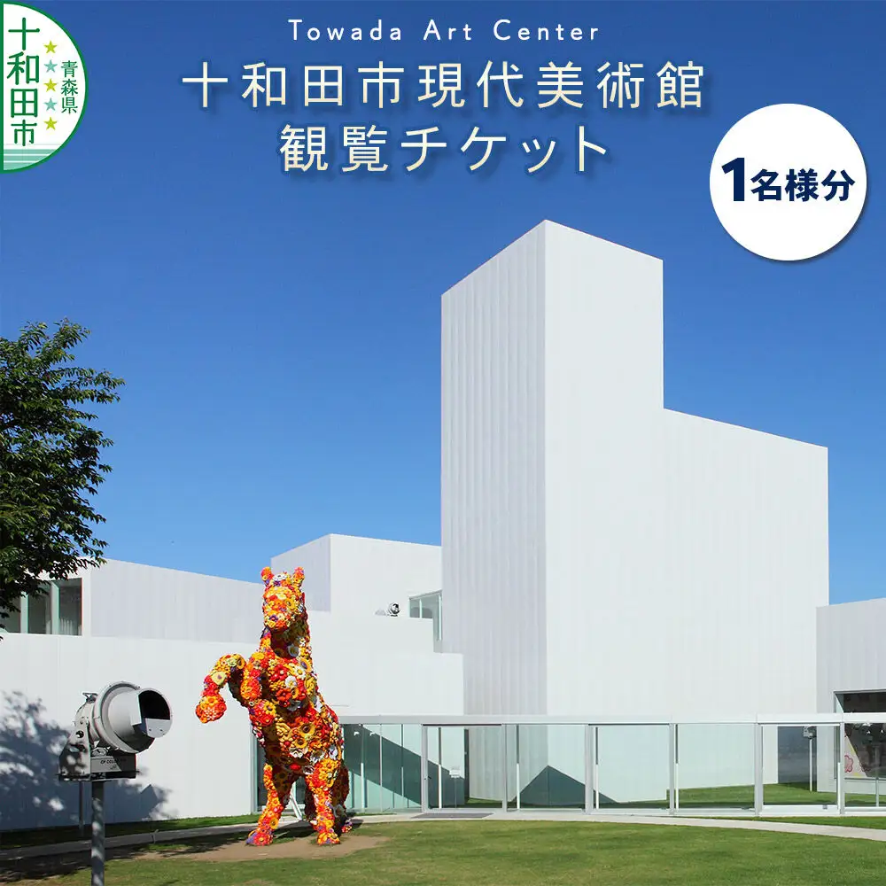 十和田市現代美術館観覧チケット（1名様分）青森県十和田市 ＜レターパックプラス＞