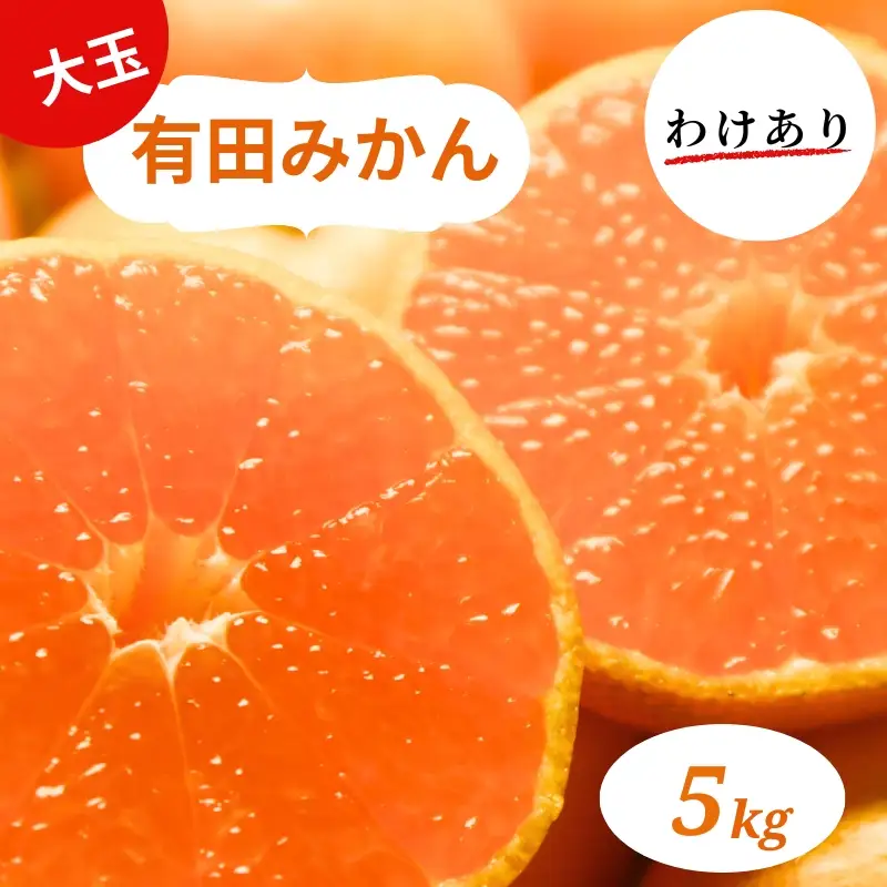 和歌山県産 有田みかん 大玉5kg 2L～3L 訳あり ※2026年10月中旬～2027年1月中旬頃に順次発送予定【smt001A】