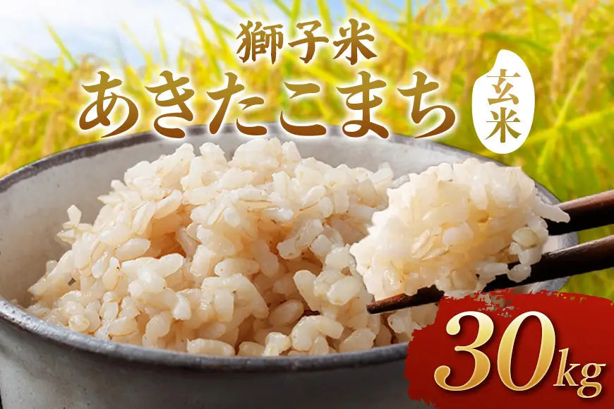 【令和8年産】獅子米　あきたこまち（玄米）30kg　B02-095