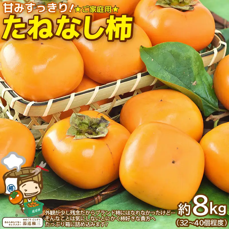 【先行予約】【訳あり】【2026年11月中旬以降発送予定】 甘みすっきり！あわらのたねなし柿 約8kg（32個～40個）（ご家庭用）／ 果物 フルーツ 産地直送 期間限定 ※2026年11月中旬以降発送予定 [aw031-a004_11]