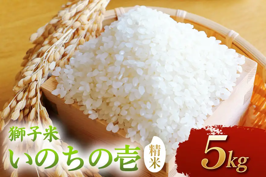 【令和8年産】獅子米　いのちの壱（精米）5kg　B02-099